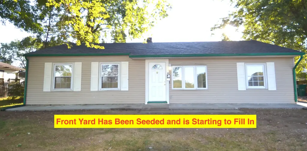 Seeded Front_13_11zon.webp